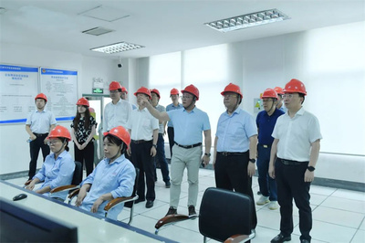 最高法咨詢委員會(huì)副主任兼秘書長(zhǎng)杜萬華一行蒞臨澄星股份考察指導(dǎo)